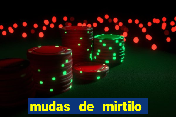 mudas de mirtilo em porto alegre